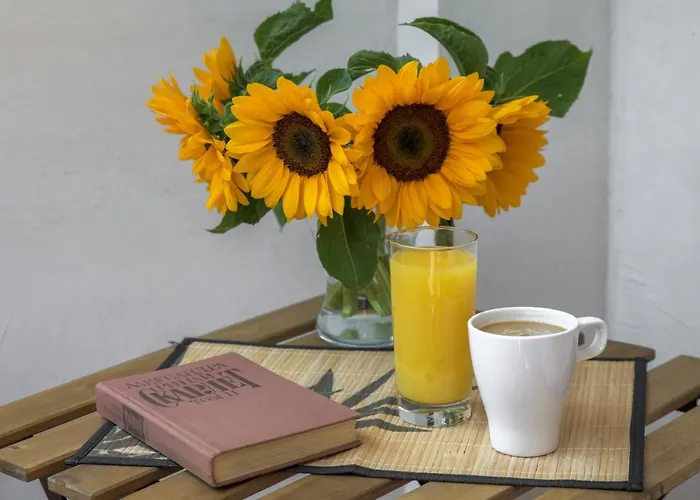 Willy-andon Варна